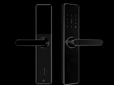 青松沃德-Wi-Fi 指紋鎖家用防盜門智能門鎖密碼鎖刷卡電子鎖 防磁干擾 防撬 L9-WT (不含鎖體，鎖體需另購）